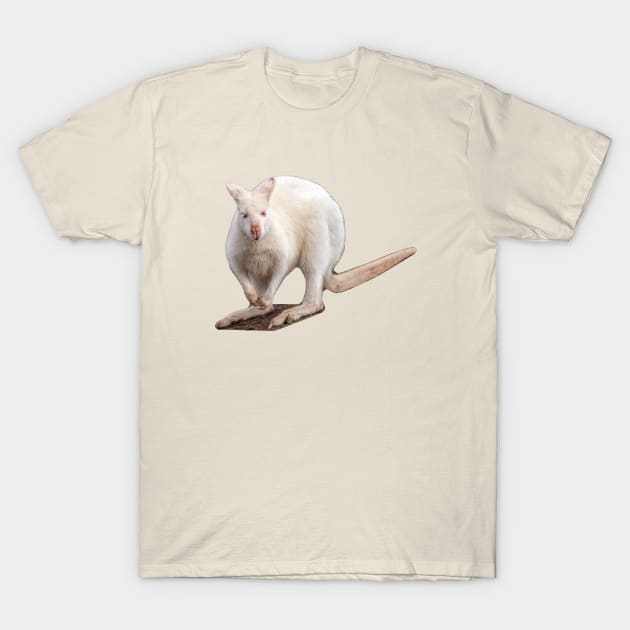 Albino Wallaby T-Shirt by dalyndigaital2@gmail.com